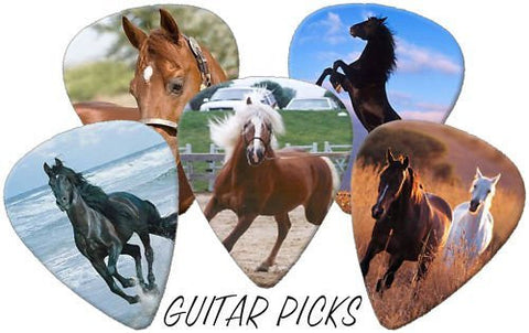 Horses Full Colour Premium Guitar Picks x 5 Medium 0.71