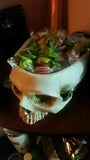 multifunctional skull pot