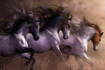 3 Horses Running Wild  Canvas Poster