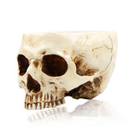 multifunctional skull pot