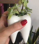 Tooth shape desktop ceramics flower pot