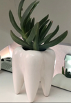 Tooth shape desktop ceramics flower pot